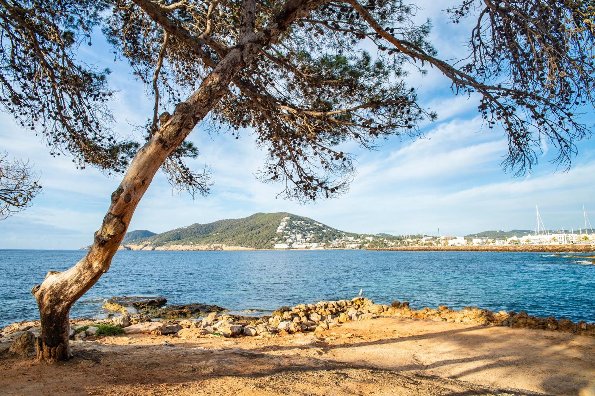 Pierre & Vacances Ros Ibiza Santa Eularia des Riu Eksteriør billede